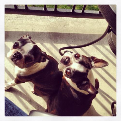 295583_10151499876797270_997836662_n