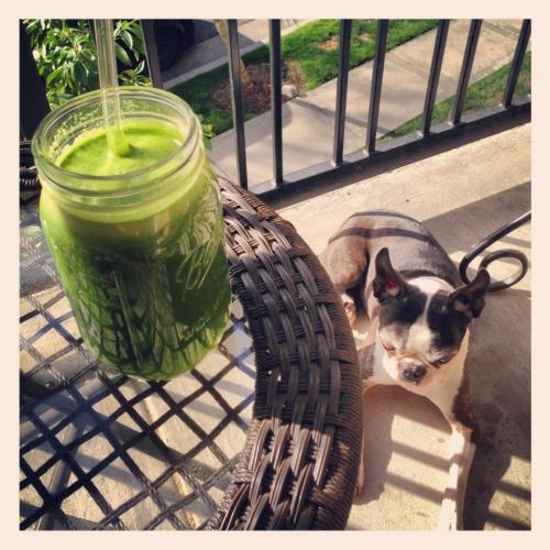 429620_552407684789663_569696879_n